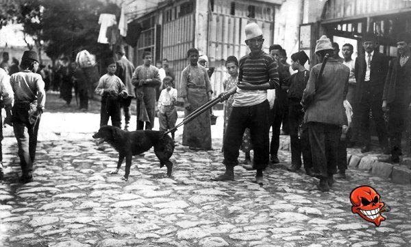 İstanbul’dan Ölüme Gönderilen 80 Bin Sokak Köpeği