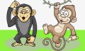 İdam Edilen Maymunlar